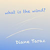 What is the Wind? cover